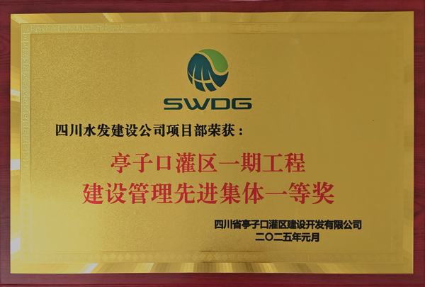 新歲奮楫，篤行不怠 公司榮獲亭子口項目業(yè)主表彰